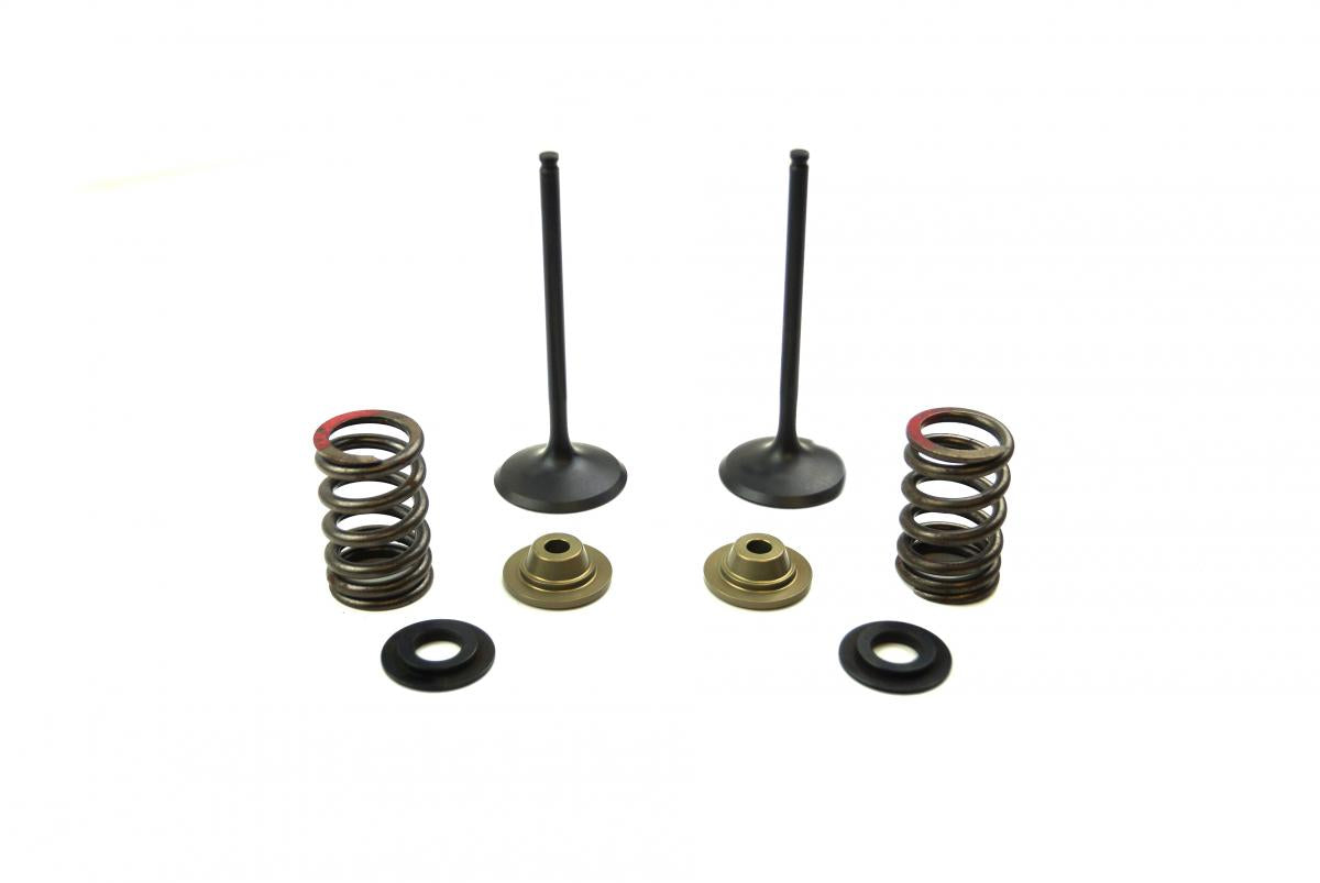 VALVE KIT INTAKE KX250F, PSYCHIC XU-09539IK 11-16