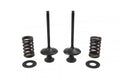 VALVE KIT INTAKE KX450F, PSYCHIC XU-09164IK 06-08