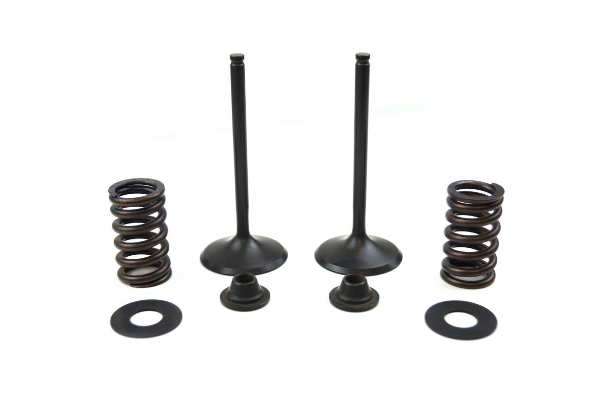 VALVE KIT INTAKE KX450F, PSYCHIC XU-09164IK 06-08