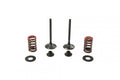 VALVE KIT EXHAUST KX450F, PSYCHIC XU-09528EK 09-15