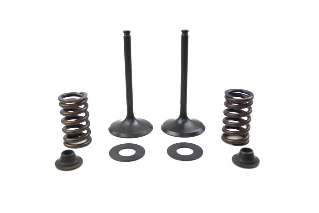 VALVE KIT INTAKE KX450F, PSYCHIC XU-09528IK 09-15