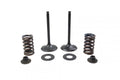 VALVE KIT INTAKE KX450F, PSYCHIC XU-09528IK 09-15