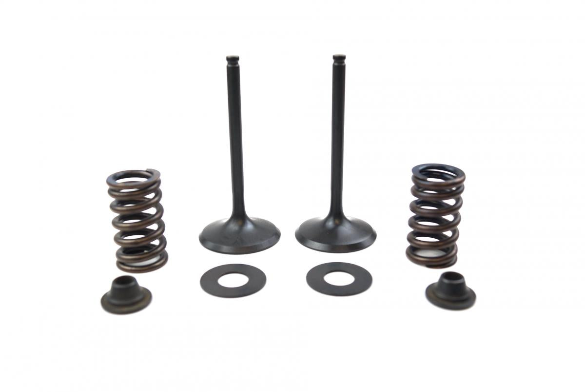 VALVE KIT INTAKE KX450F, PSYCHIC XU-09528IK 09-15