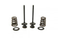 VALVE KIT EXHAUST KTM 450-525, PSYCHIC XU-09549EK 00-07