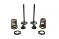 VALVE KIT INTAKE KTM 450-525, PSYCHIC XU-09549IK 00-07