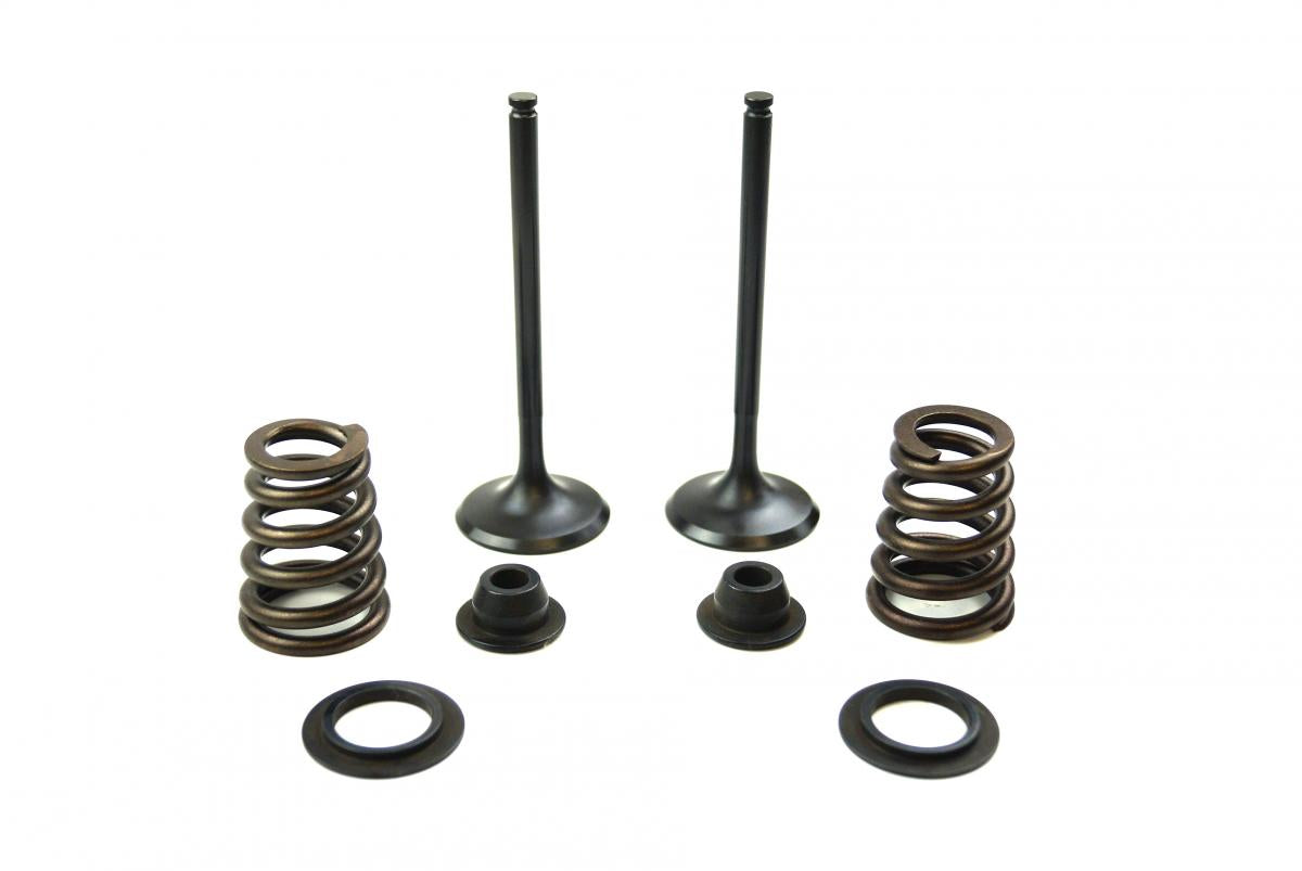 VALVE KIT INTAKE KTM 450-525, PSYCHIC XU-09549IK 00-07
