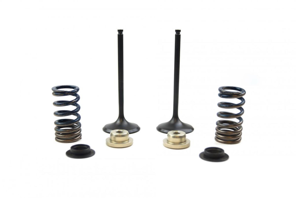 VALVE KIT INTAKE RMZ250 10-19, PSYCHIC XU-09531IK
