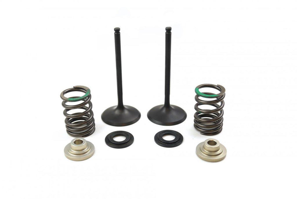 VALVE KIT INTAKE RMZ450 05-06, PSYCHIC XU-09536IK