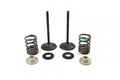VALVE KIT INTAKE RMZ450 05-06, PSYCHIC XU-09536IK