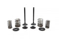 VALVE KIT EXHAUST TT-R225, PSYCHIC XU-09518EK XT225