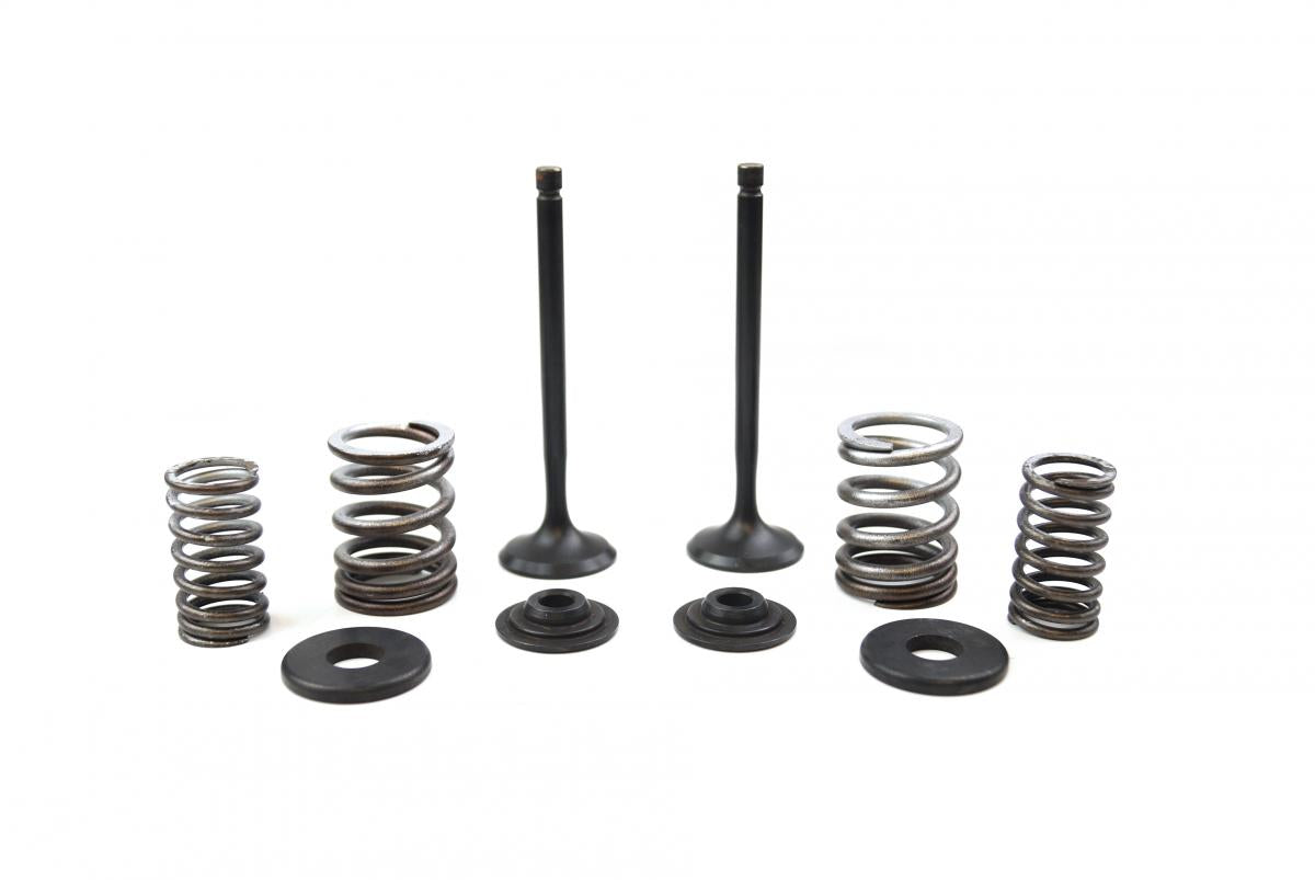 VALVE KIT EXHAUST TT-R225, PSYCHIC XU-09518EK XT225