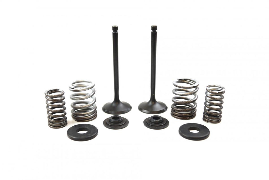 VALVE KIT INTAKE TT-R225, PSYCHIC XU-09518IK XT225