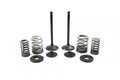 VALVE KIT INTAKE TT-R225, PSYCHIC XU-09518IK XT225