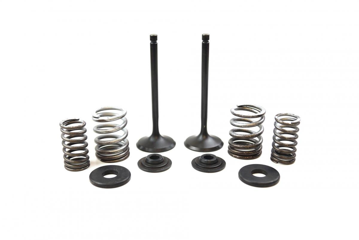 VALVE KIT INTAKE TT-R225, PSYCHIC XU-09518IK XT225