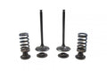 VALVE KIT INTAKE YZF 14-17, PSYCHIC XU-09553IK