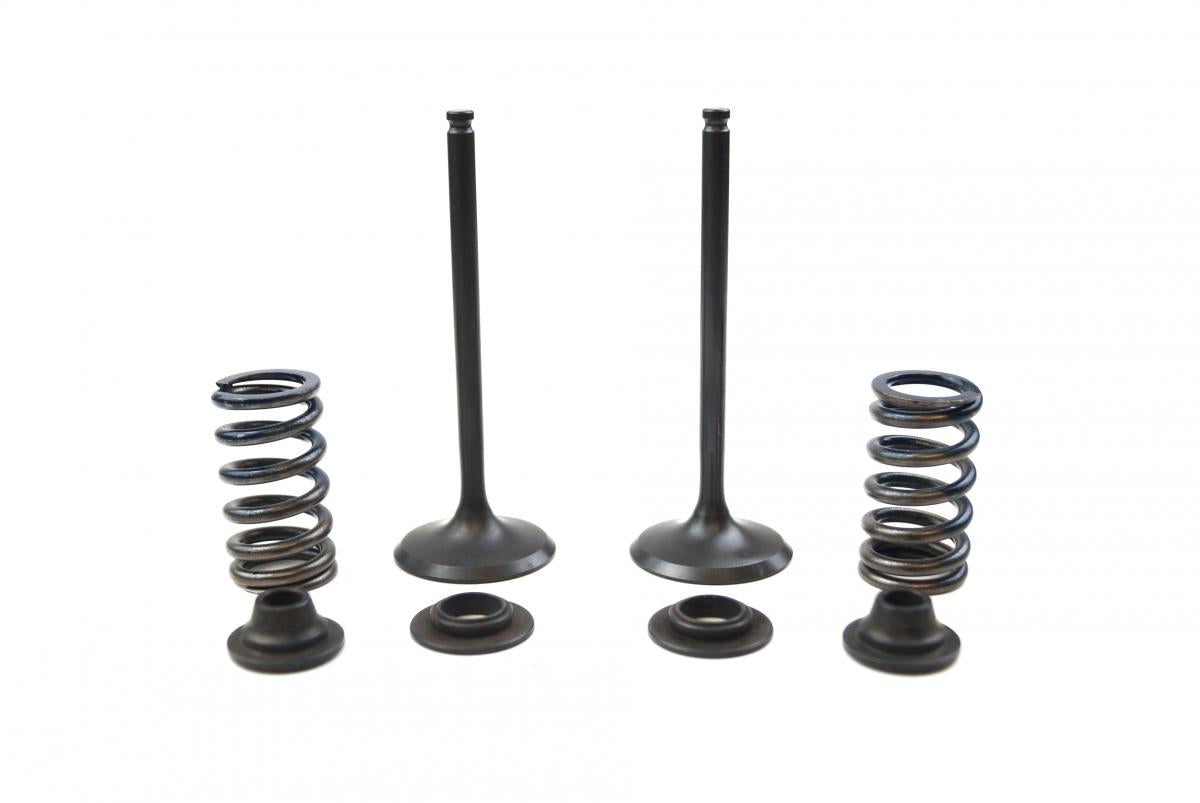 VALVE KIT INTAKE YZF 14-17, PSYCHIC XU-09553IK