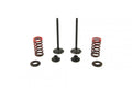 VALVE KIT EXHAUST WRF250 01-09, PSYCHIC XU-09522EK