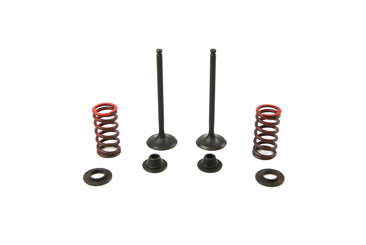 VALVE KIT EXHAUST WRF250 01-09, PSYCHIC XU-09522EK
