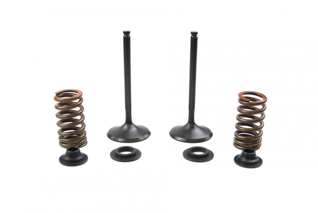 VALVE KIT INTAKE YZF450 10-13, PSYCHIC XU-09541IK