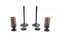 VALVE KIT INTAKE YZF450 10-13, PSYCHIC XU-09541IK