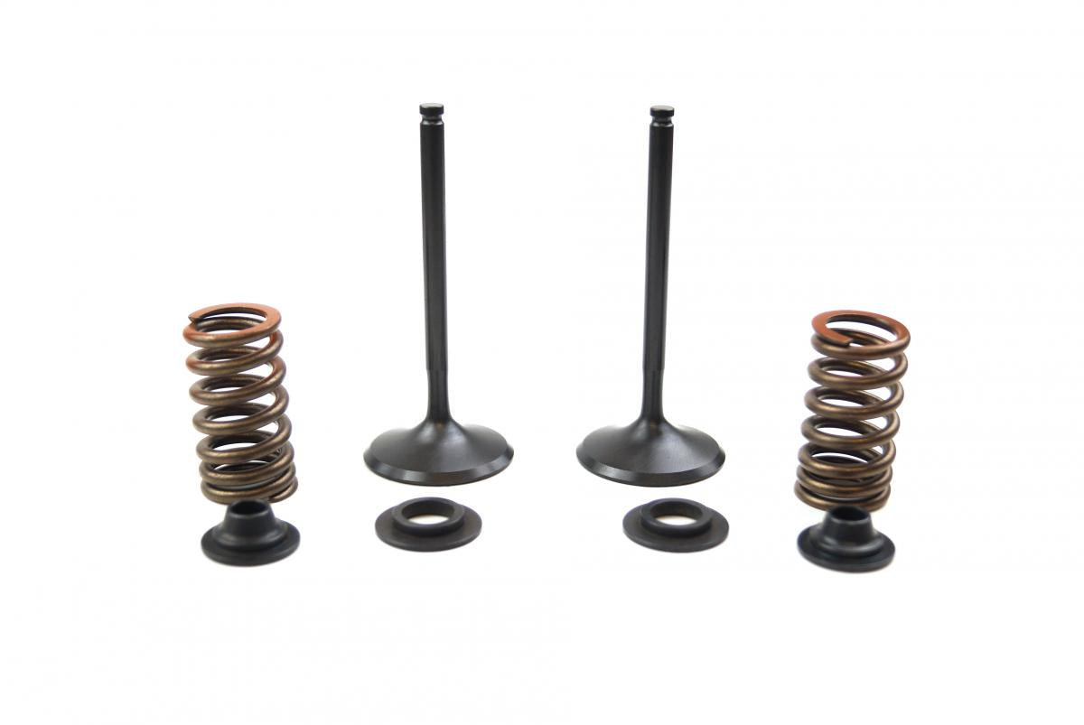 VALVE KIT INTAKE YZF450 10-13, PSYCHIC XU-09541IK
