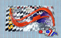 PRO-RALLY HANDGUARD ORANGE