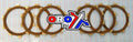 CLUTCH FRICTION PLATE HUSKY, HUSQVARANA CR/WR F.1405