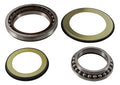 STEERING BEARING KIT ALLBALLS, ALLBALLS 22-1079 HONDA GL1800