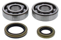CRANKSHAFT BEARING & SEAL KIT GASGAS, ALLBALLS 24-1119