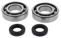 CRANKSHAFT BEARING & SEAL KIT BETA, ALLBALLS 24-1123