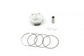 PISTON KIT 2020-25 CRF250R 79mm, WISECO 40249M07900B, ARMOUR GLIDE