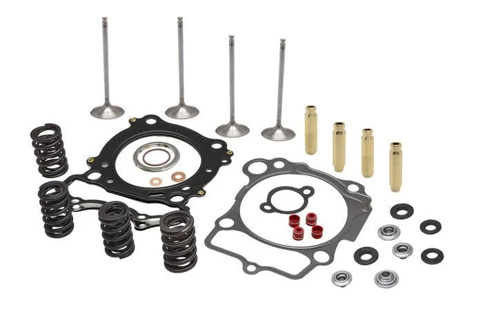 CYLINDER HEAD SERVICE KIT, KIBBLEWHITE 40-41510, SPRINGS VALVES HEAD GASKETS
