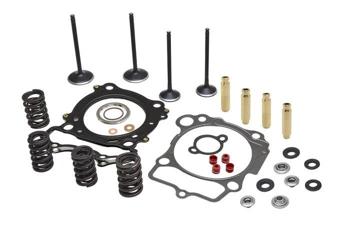 CYLINDER HEAD SERVICE KIT, KIBBLEWHITE 30-33440, SPRINGS VALVES HEAD GASKETS
