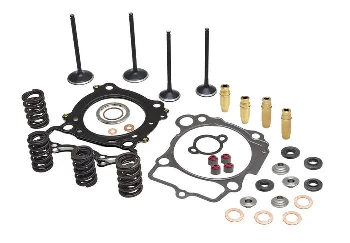 CYLINDER HEAD SERVICE KIT, KIBBLEWHITE 96-96560, SPRINGS VALVES HEAD GASKETS