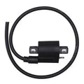 COIL IGNITION DZE 10179-04