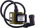 COIL IGNITION DZE BSE 4038 04038-04, Motoplat