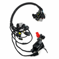 MAIN WIRING HARNESS 25 SUR-RON ULTRA BEE ROAD R AVSS FRONT LIGHTING SEMI-ABS 24100-YQ5A-0000