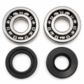 MAIN BEARING AND SEAL KIT 79-81 SUZUKI PE RM RS 250 VINTCO KMB019