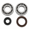 MAIN BEARING AND SEAL KIT 81-81 SUZUKI RM 250 VINTCO KMB020